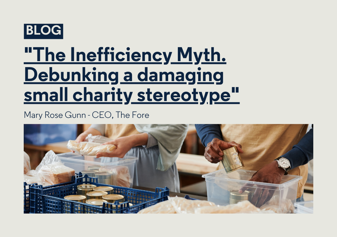 The inefficiency myth - debunking small charity stereotypes